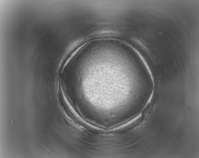 X0000062881413200601271610