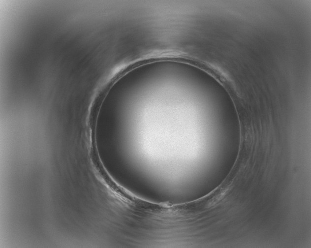 X0000062881414200601271610