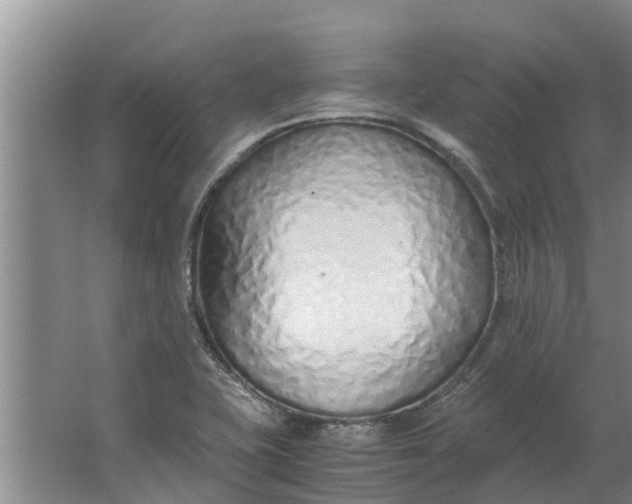 X0000062881415200601271610