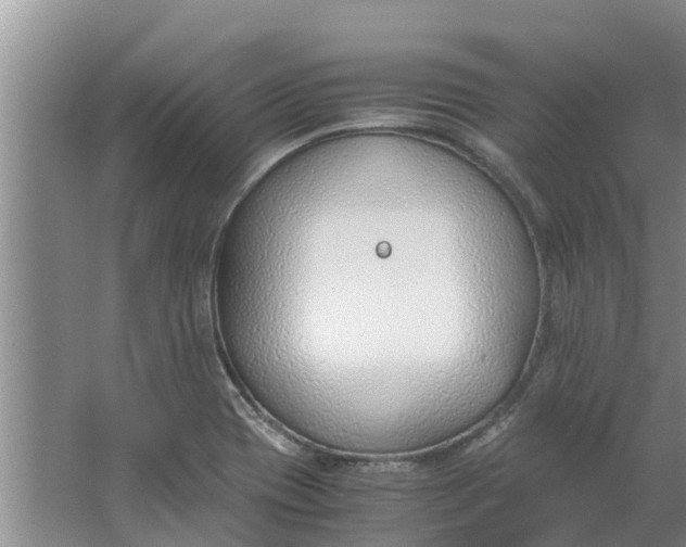 X0000062881417200601271610