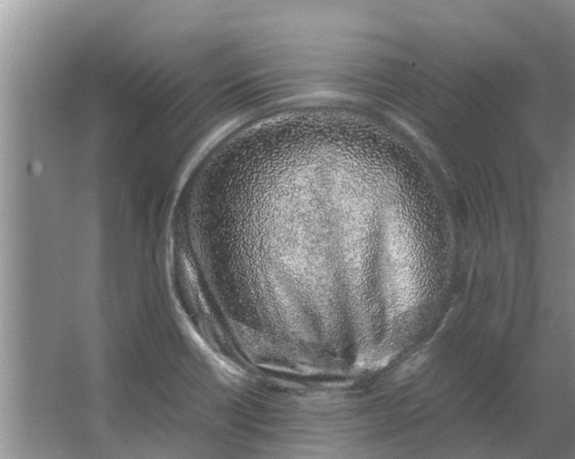 X0000062881418200601271610