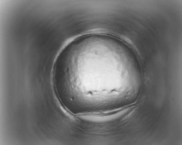 X0000062881421200601271610