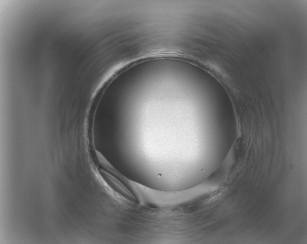 X0000062881422200601271610