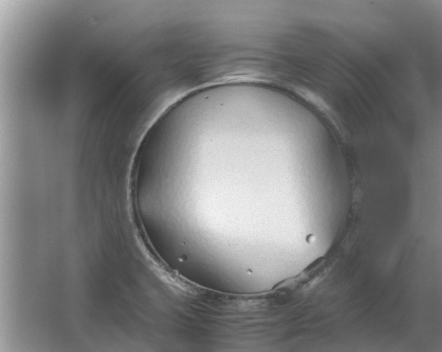 X0000062881423200601271610