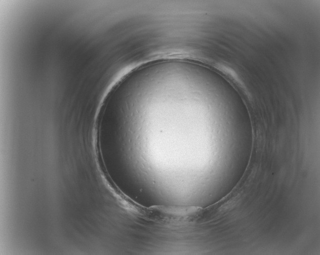 X0000062881424200601271610