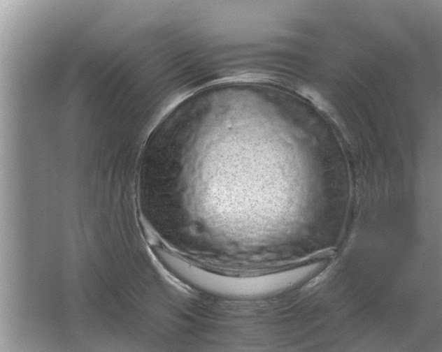 X0000062881425200601271610