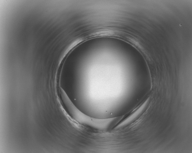 X0000062881426200601271610