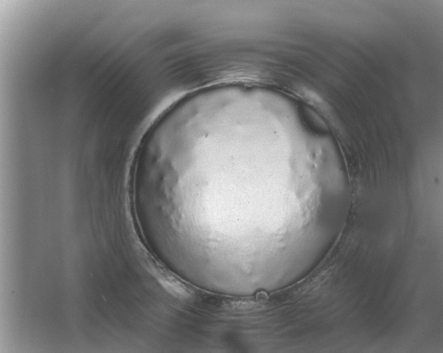 X0000062881427200601271610