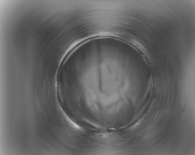 X0000062881428200601271610