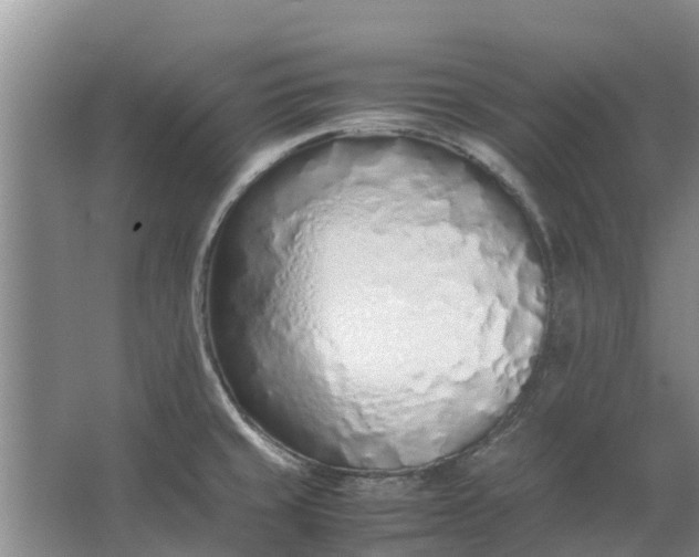 X0000062881429200601271610