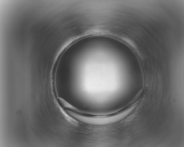 X0000062881430200601271610