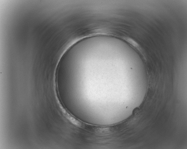 X0000062881431200601271610