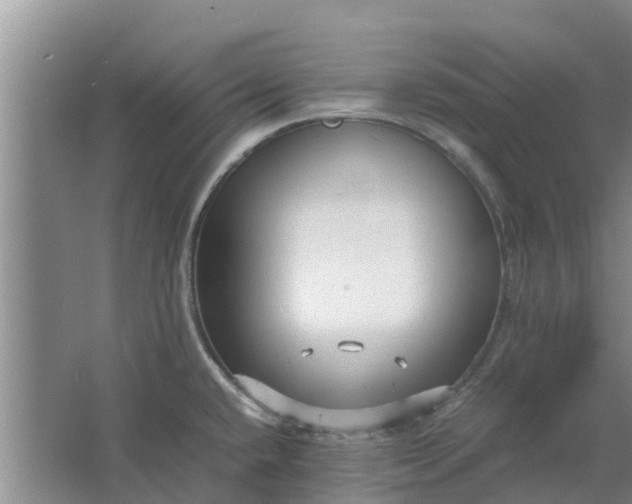 X0000062881432200601271610