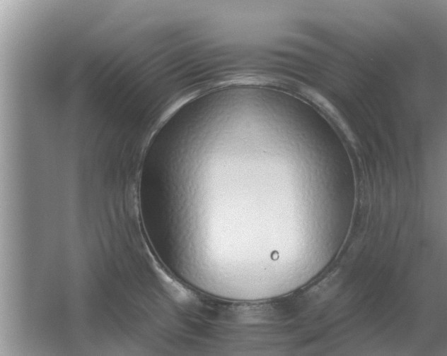 X0000062881433200601271610