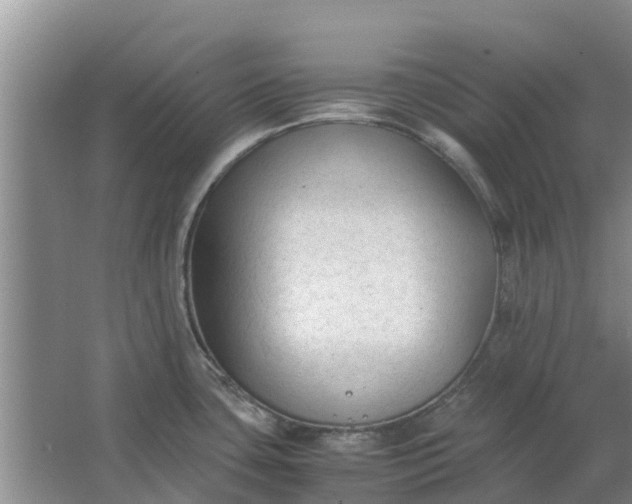 X0000062881435200601271610