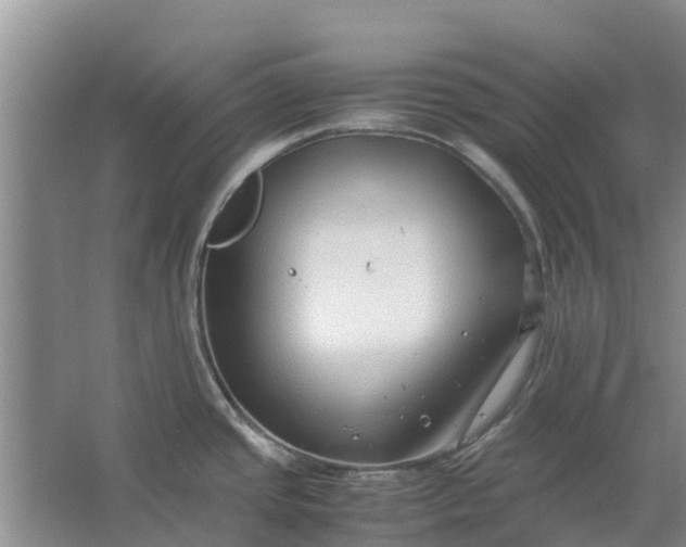 X0000062881437200601271610