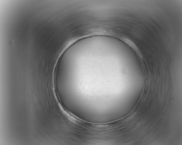 X0000062881439200601271610