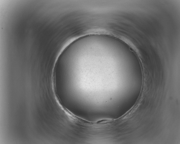 X0000062881440200601271610