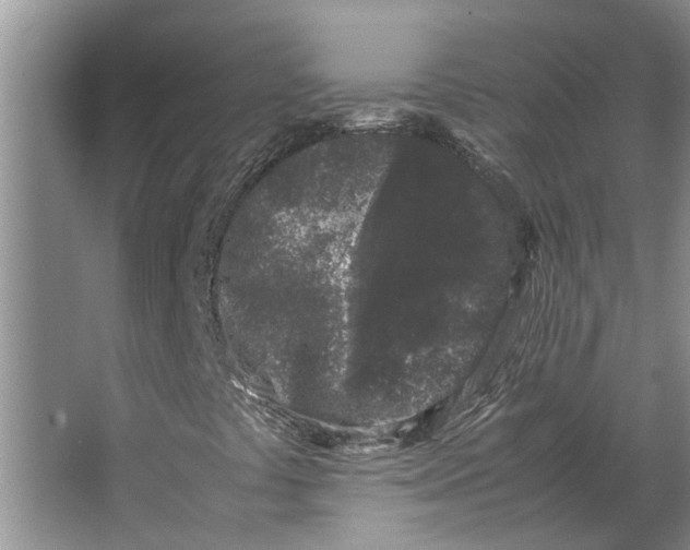 X0000062881441200601271609