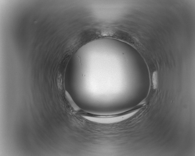 X0000062881443200601271609