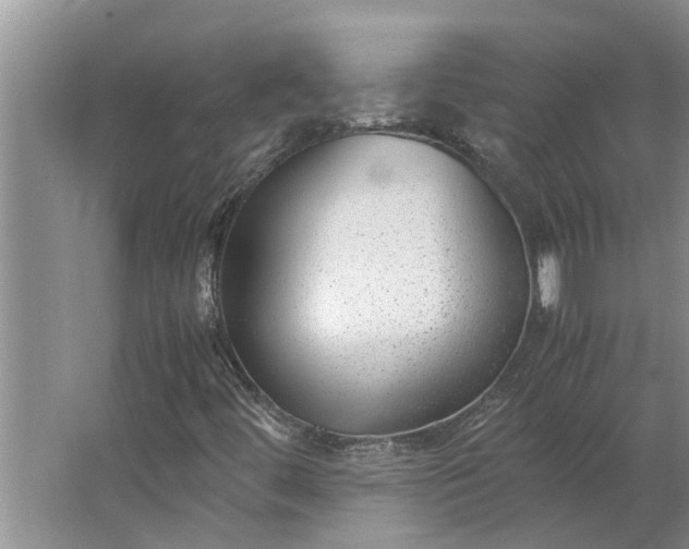 X0000062881444200601271609