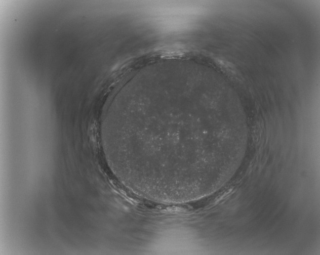 X0000062881445200601271609