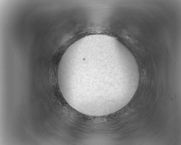 X0000062881446200601271609