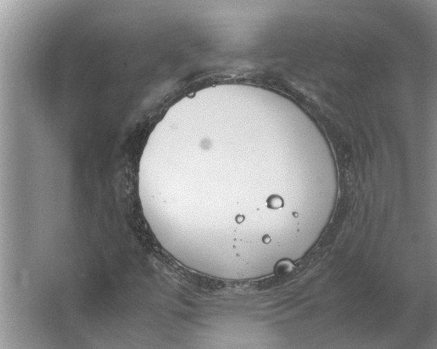 X0000062881447200601271609