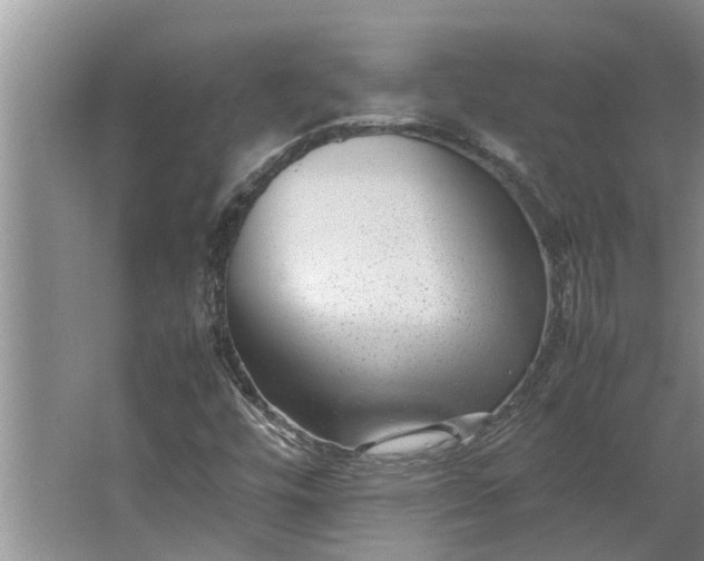 X0000062881448200601271609