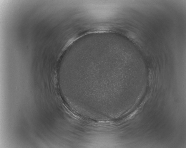 X0000062881449200601271609