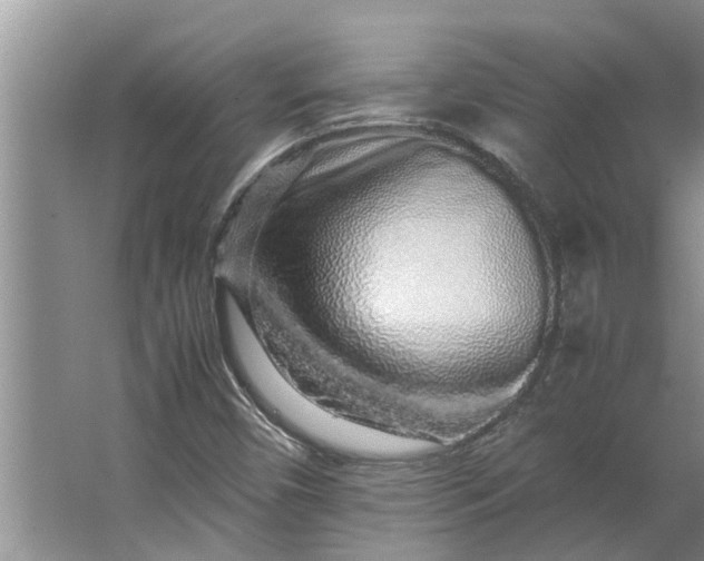 X0000062881450200601271609