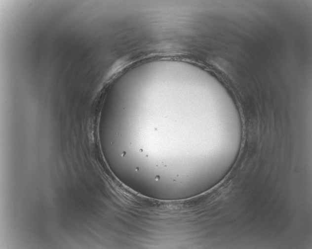 X0000062881451200601271609