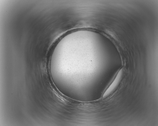 X0000062881452200601271609