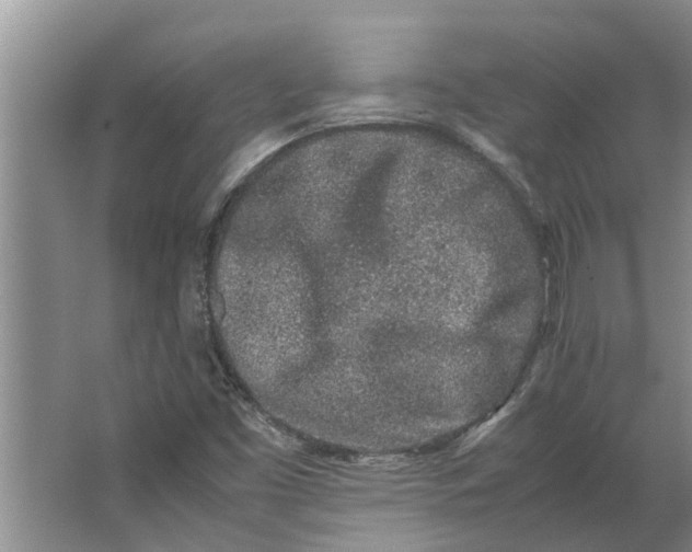 X0000062881453200601271609