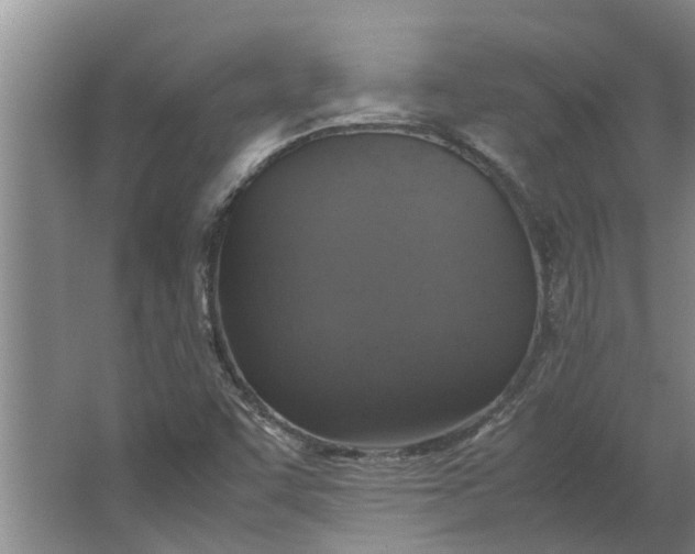 X0000062881455200601271609