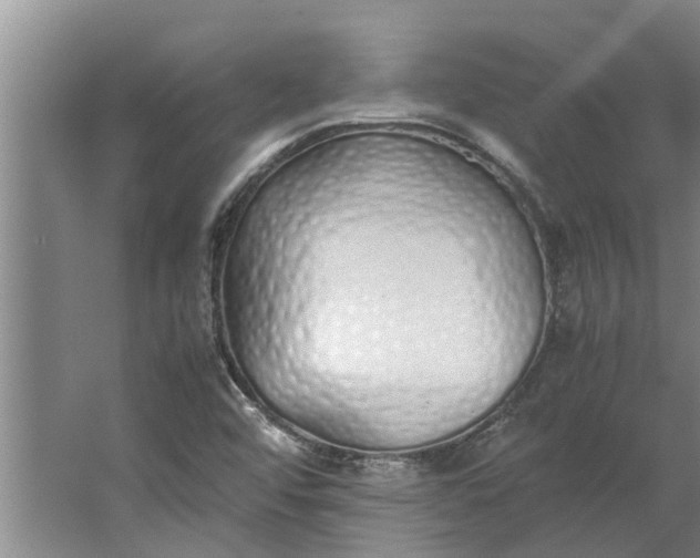 X0000062881456200601271609