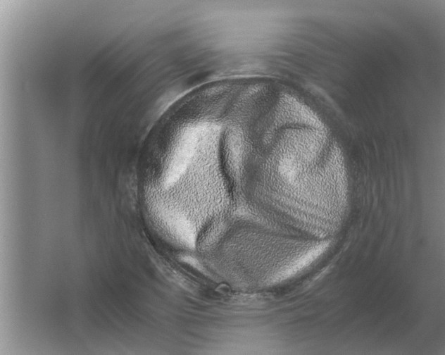 X0000062881457200601271609