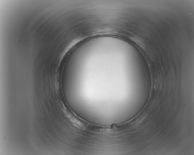 X0000062881458200601271609