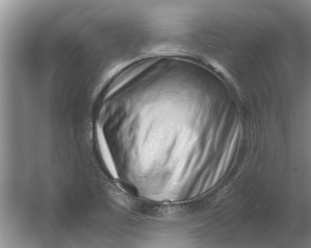 X0000062881461200601271609