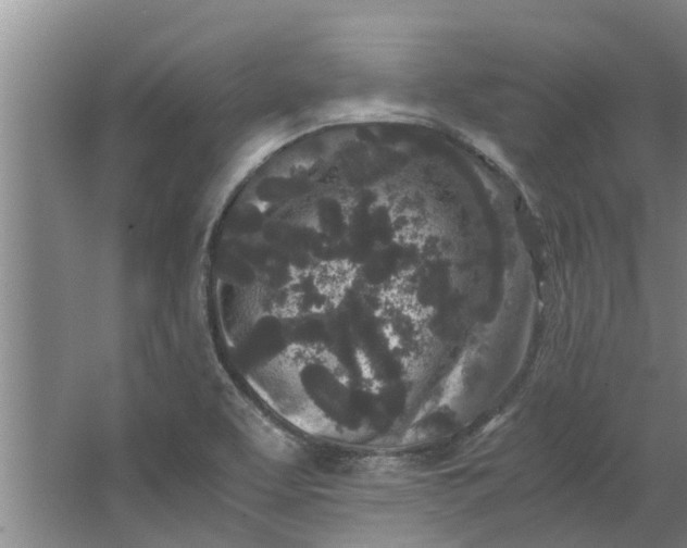 X0000062881463200601271609