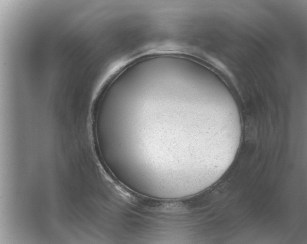 X0000062881464200601271609