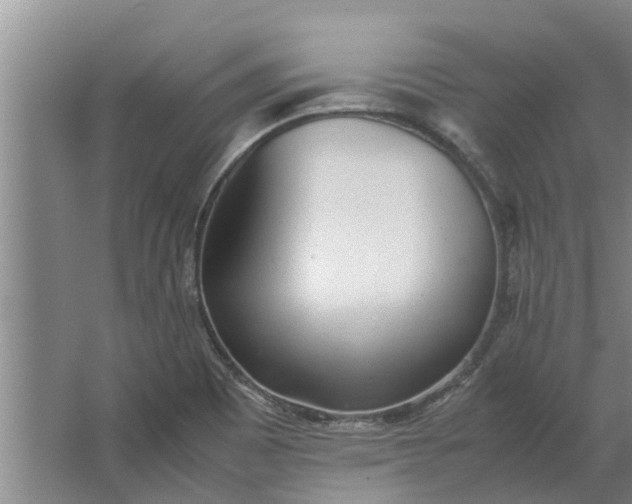 X0000062881465200601271609