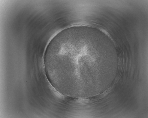 X0000062881466200601271609