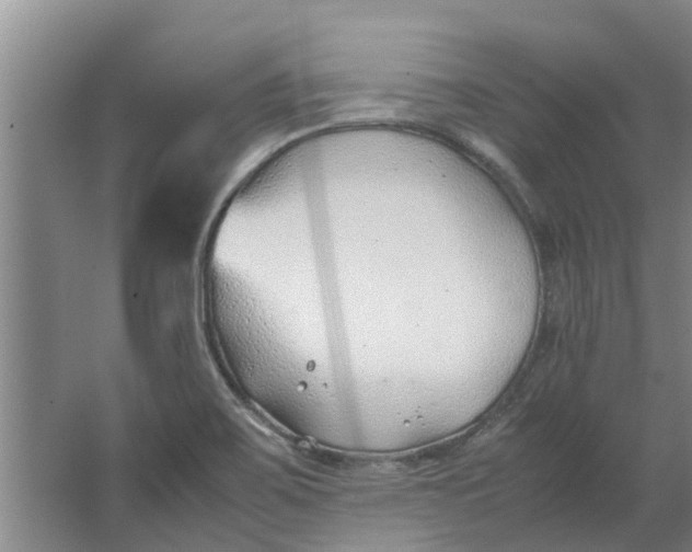 X0000062881467200601271609