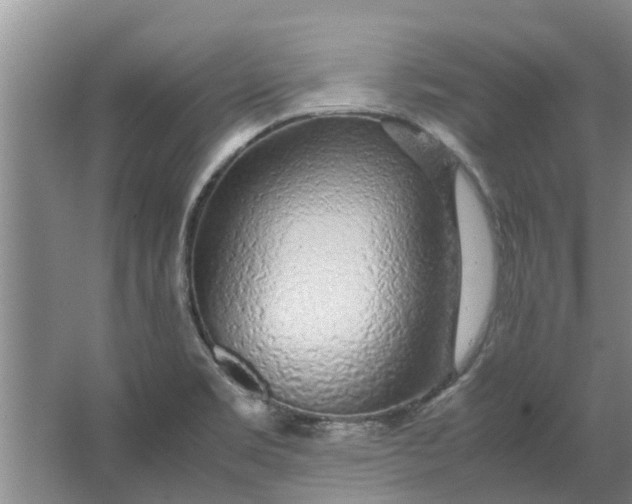 X0000062881469200601271609