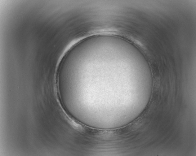 X0000062881470200601271609