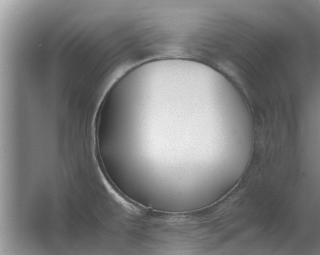 X0000062881479200601271609