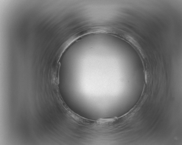 X0000062881481200601271609