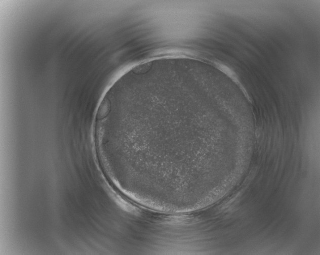 X0000062881482200601271609