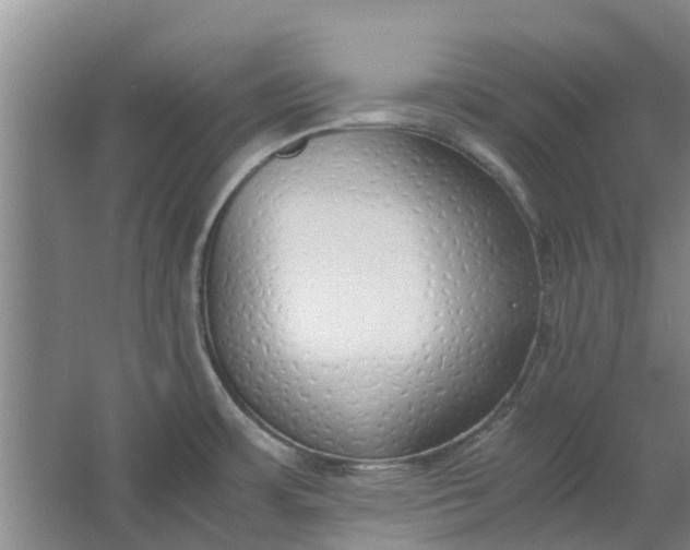 X0000062881483200601271609